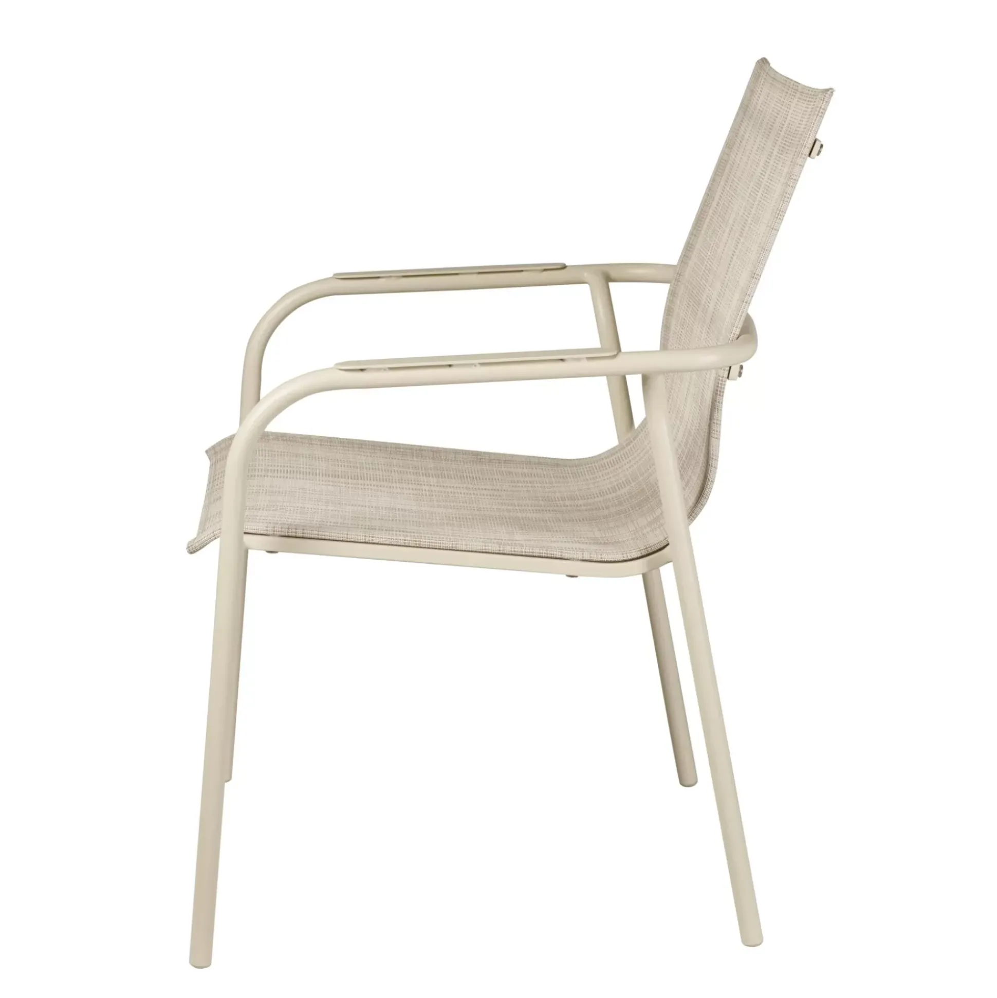 Alves Silla Arena