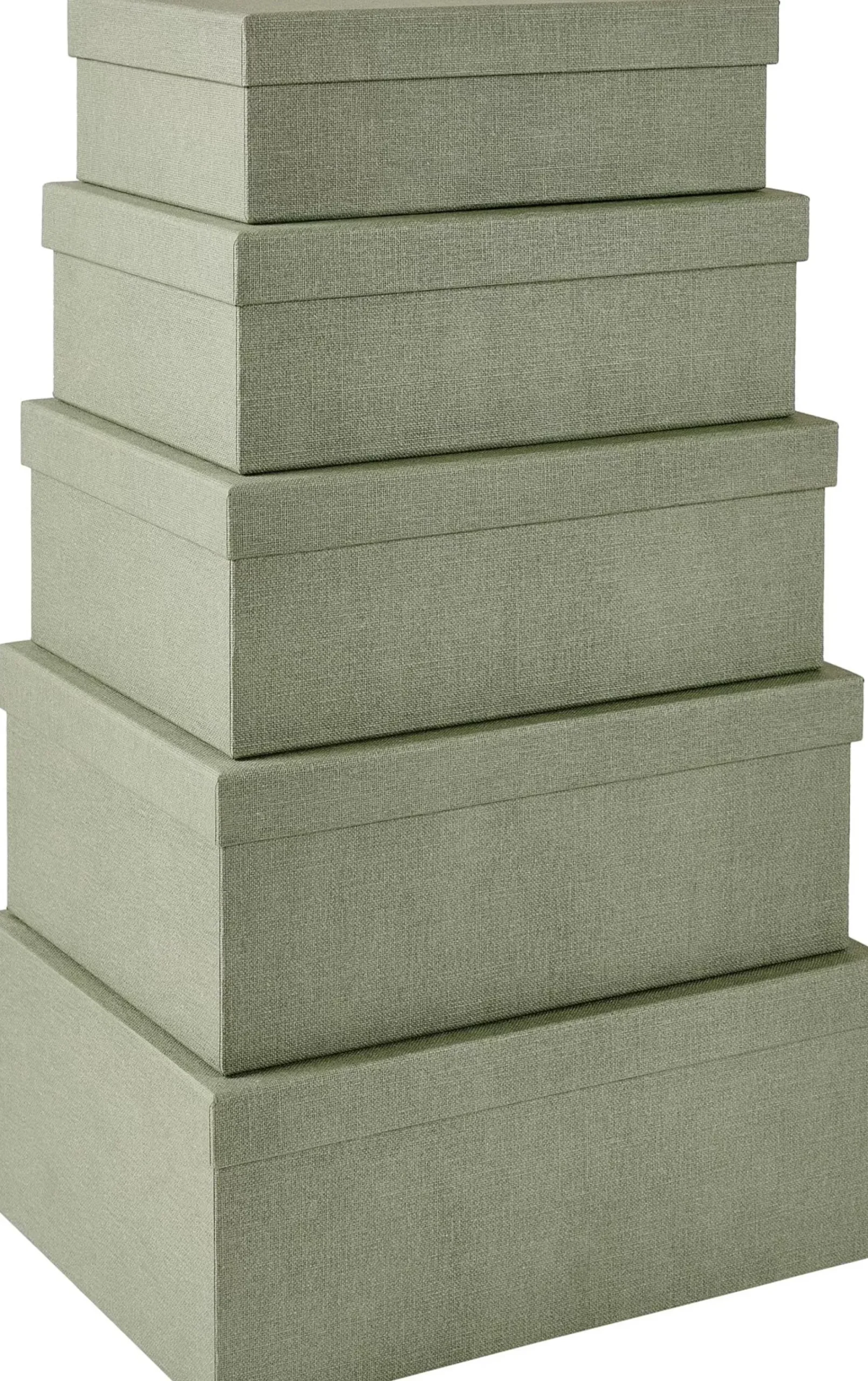 Bigso Caja De Almacenaje Menta