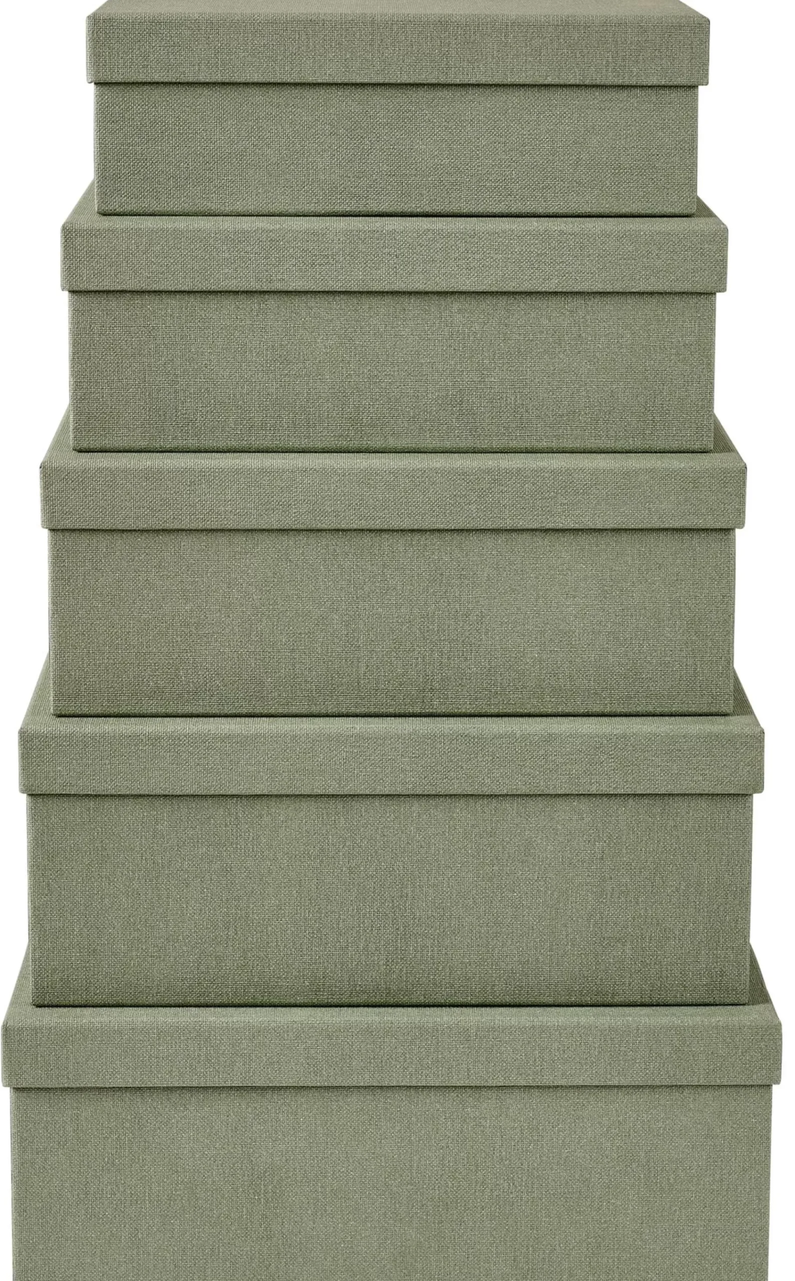 Bigso Caja De Almacenaje Menta