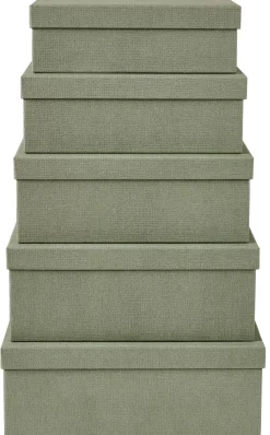 Bigso Caja De Almacenaje Menta
