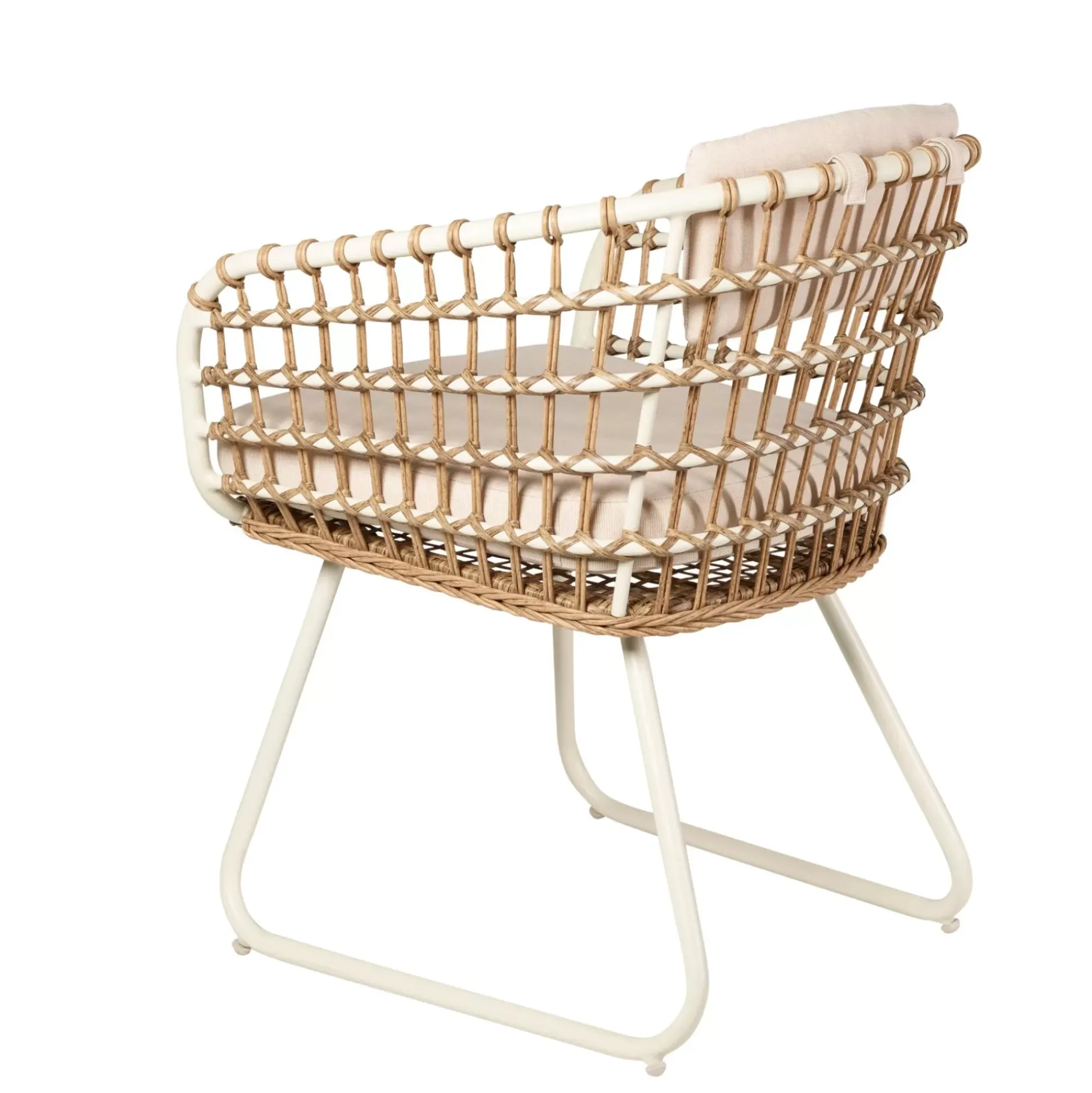 Bones Silla Arena