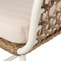 Bones Silla Arena