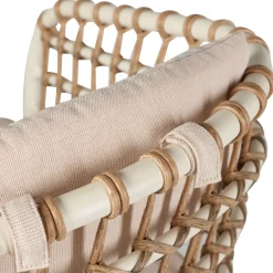 Bones Silla Arena