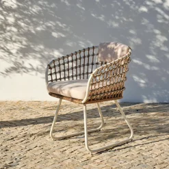 Bones Silla Arena