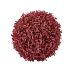 Boxwood Bola De Boj Rojo