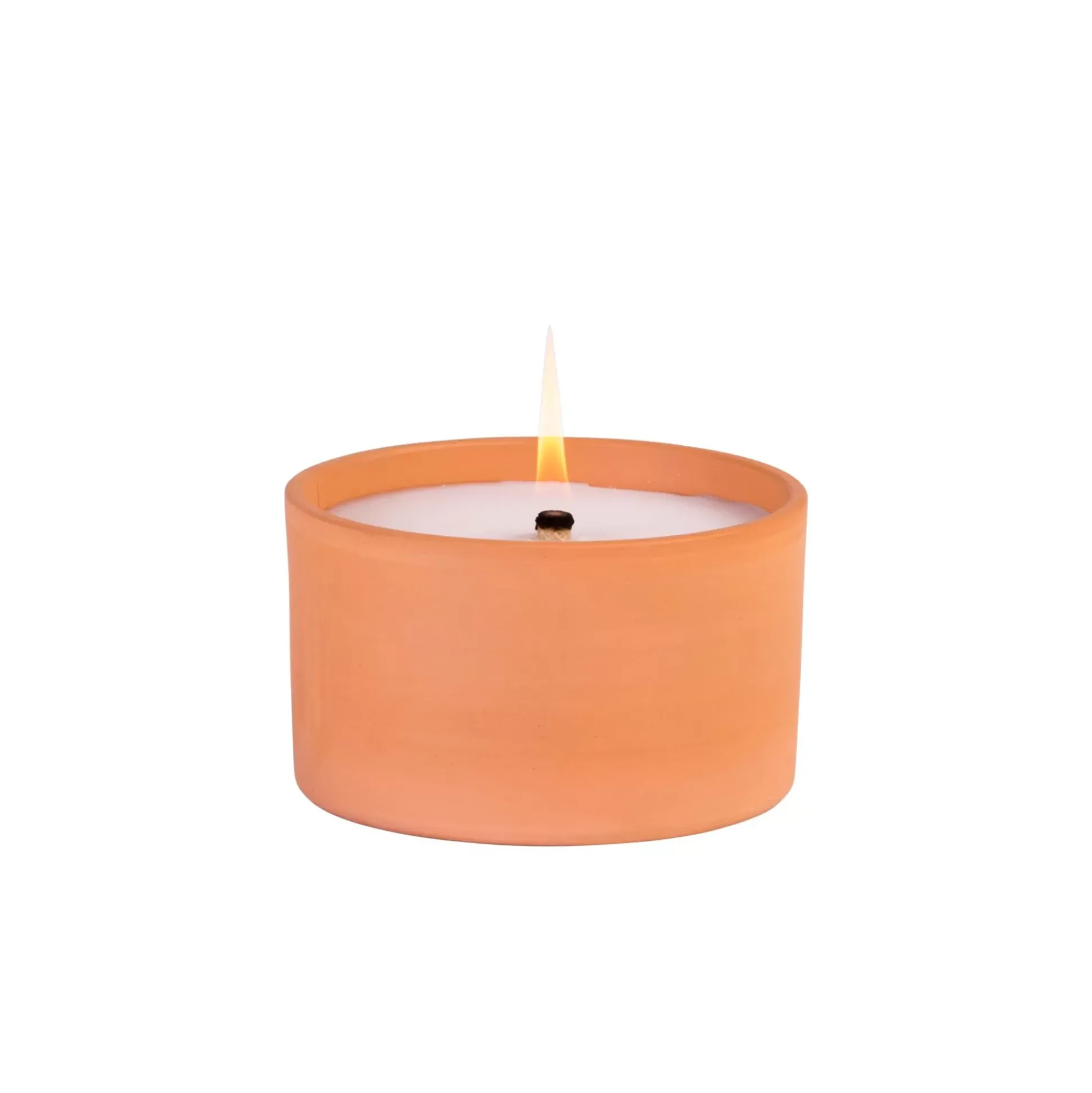 Citronella Bandeja De Terracota Blanco, Verde