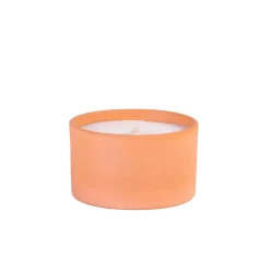 Citronella Bandeja De Terracota Blanco, Verde