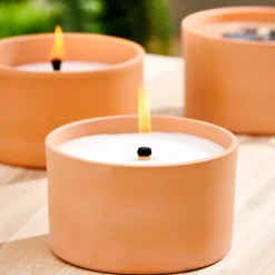 Citronella Bandeja De Terracota Blanco, Verde