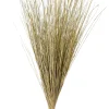 Cogon Haz De Hierba Natural