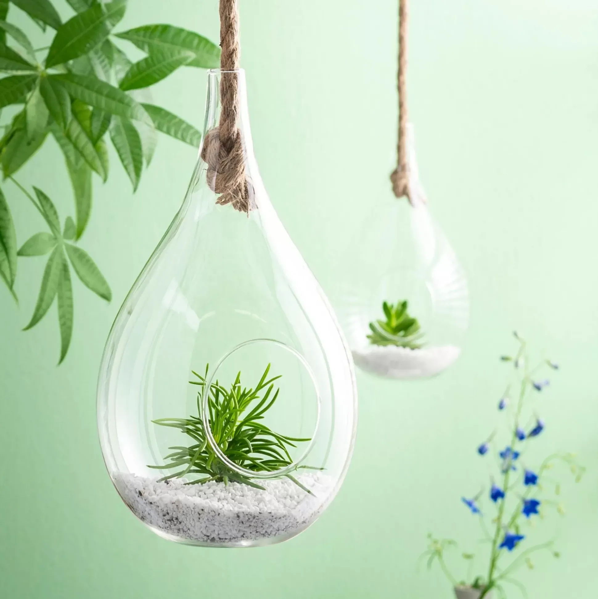 Drop Gota De Vidrio Transparente