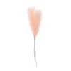 Ecru Plumas Decorativas Marron Claro