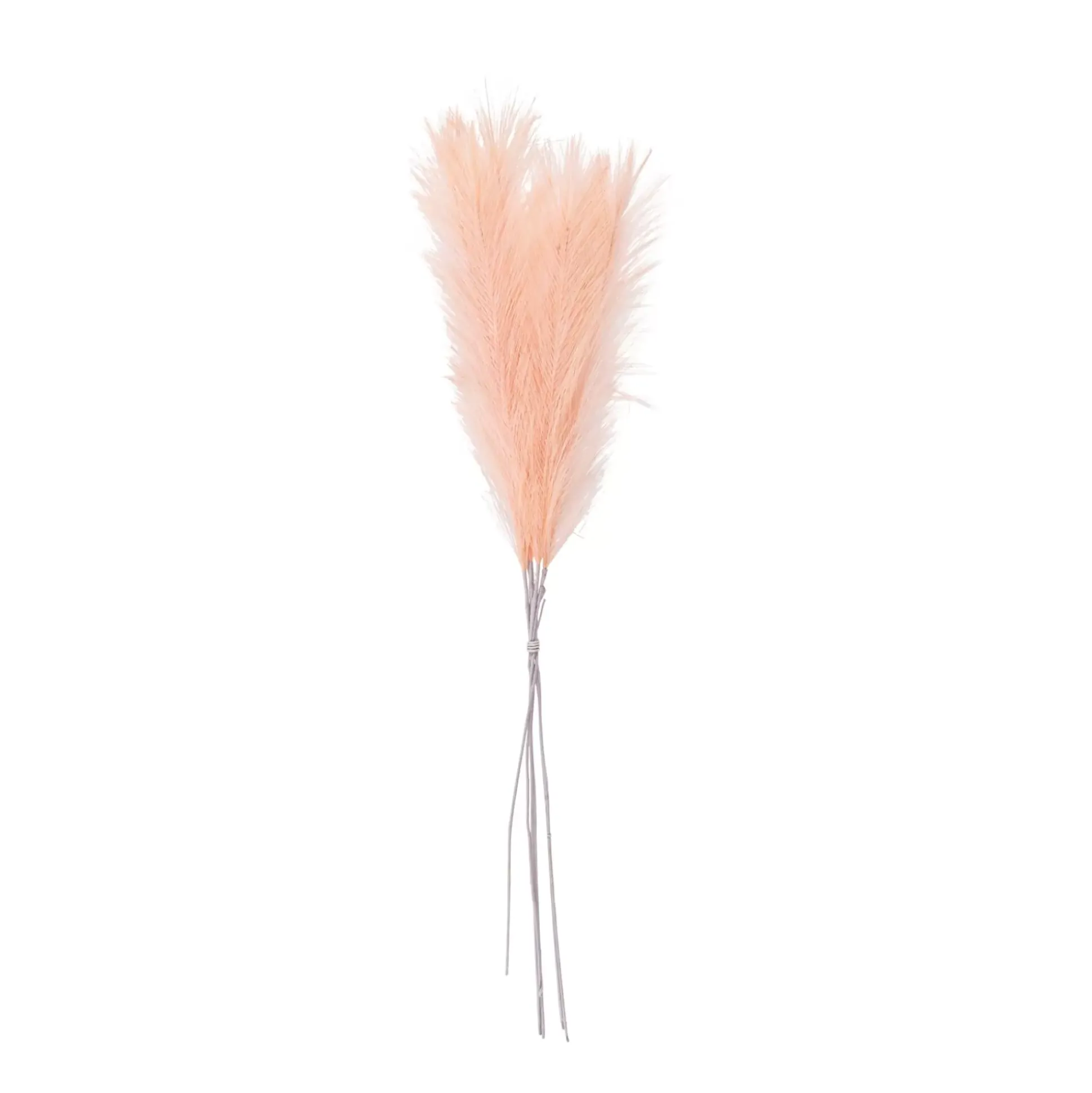 Ecru Plumas Decorativas Marron Claro