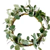 Eucalyptus Corona Verde