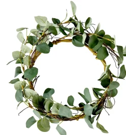 Eucalyptus Corona Verde