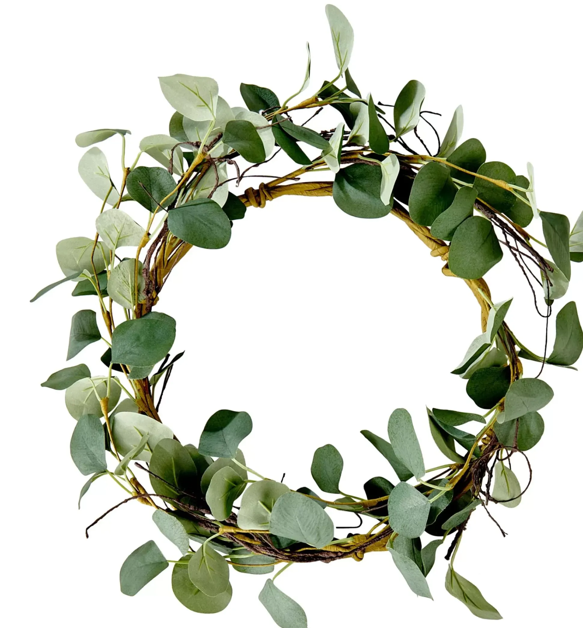 Eucalyptus Corona Verde