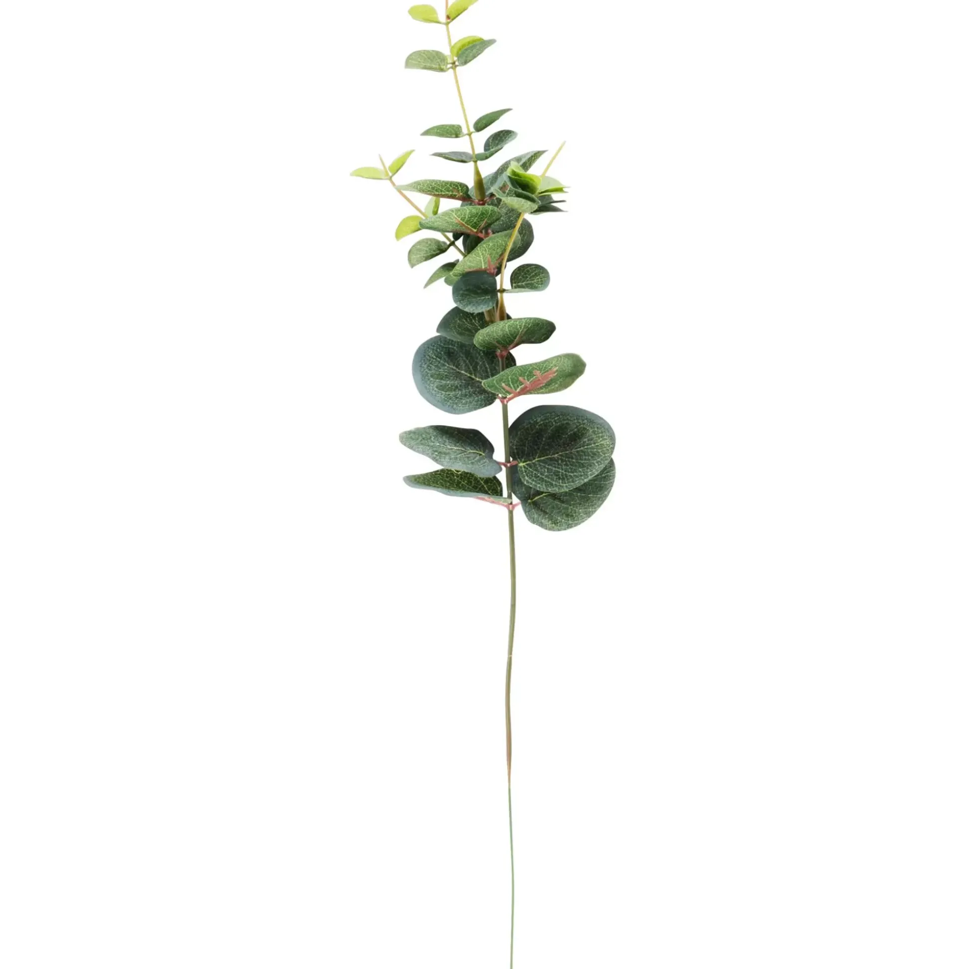 Eucalyptus Rama Sintetico Verde