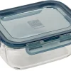 Evolution Fuente De Horno Con Tapa Gris, Transparente