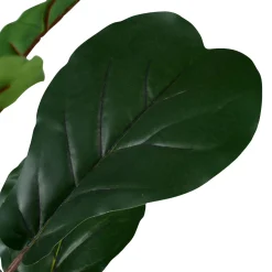 Figi Negro, Verde Oscuro