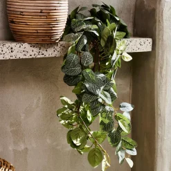 Fittonia Guirnalda De Hojas Verde