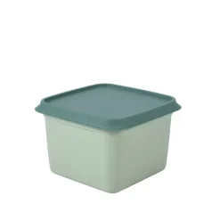 Freezer Cajas Congeladoras Juego De 10 Menta, Verde Oscuro