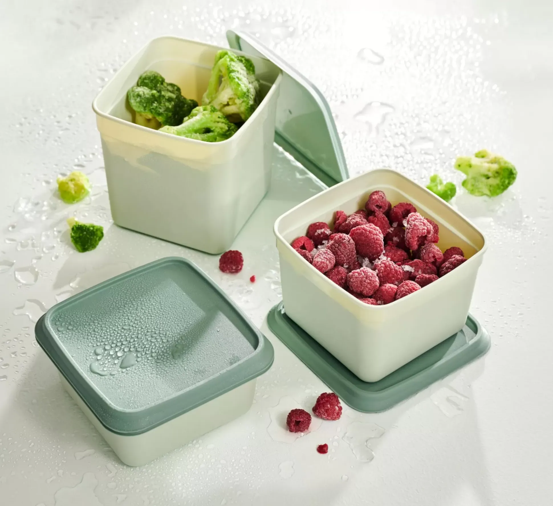 Freezer Cajas Congeladoras Juego De 10 Menta, Verde Oscuro