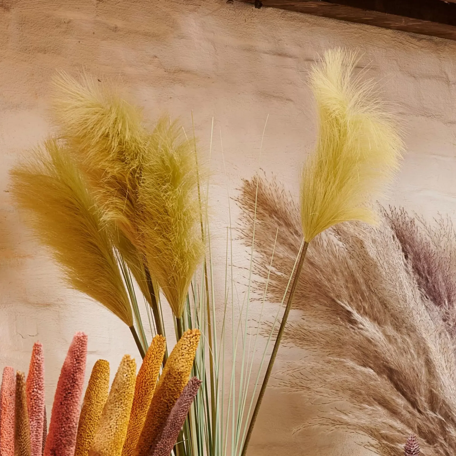 Grass Cana Con Pluma Verde