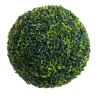 Green Bola De Boj Verde