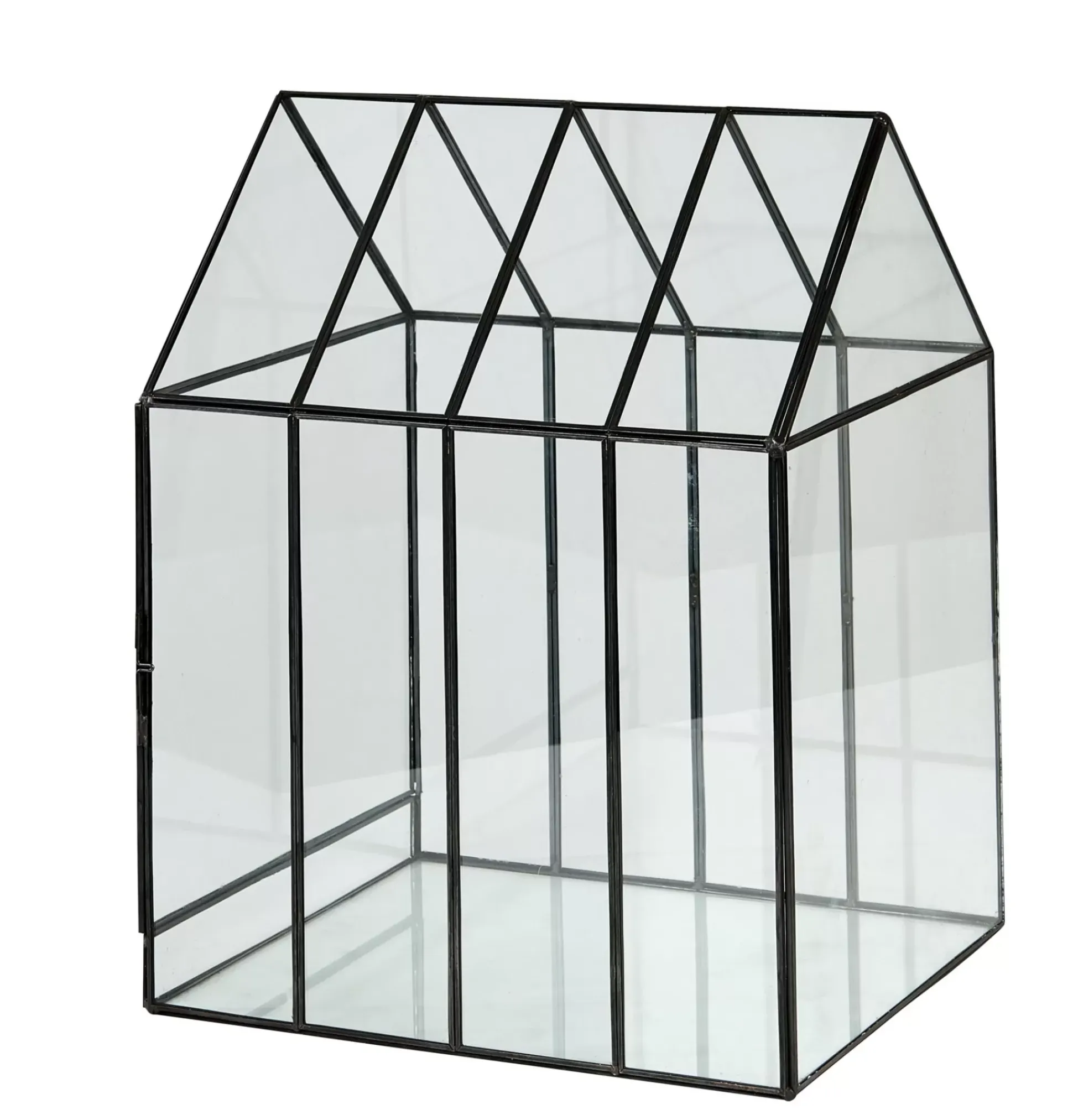 Greenhouse Invernadero Transparente