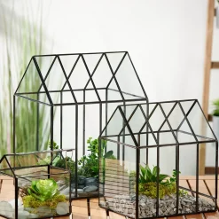 Greenhouse Invernadero Transparente