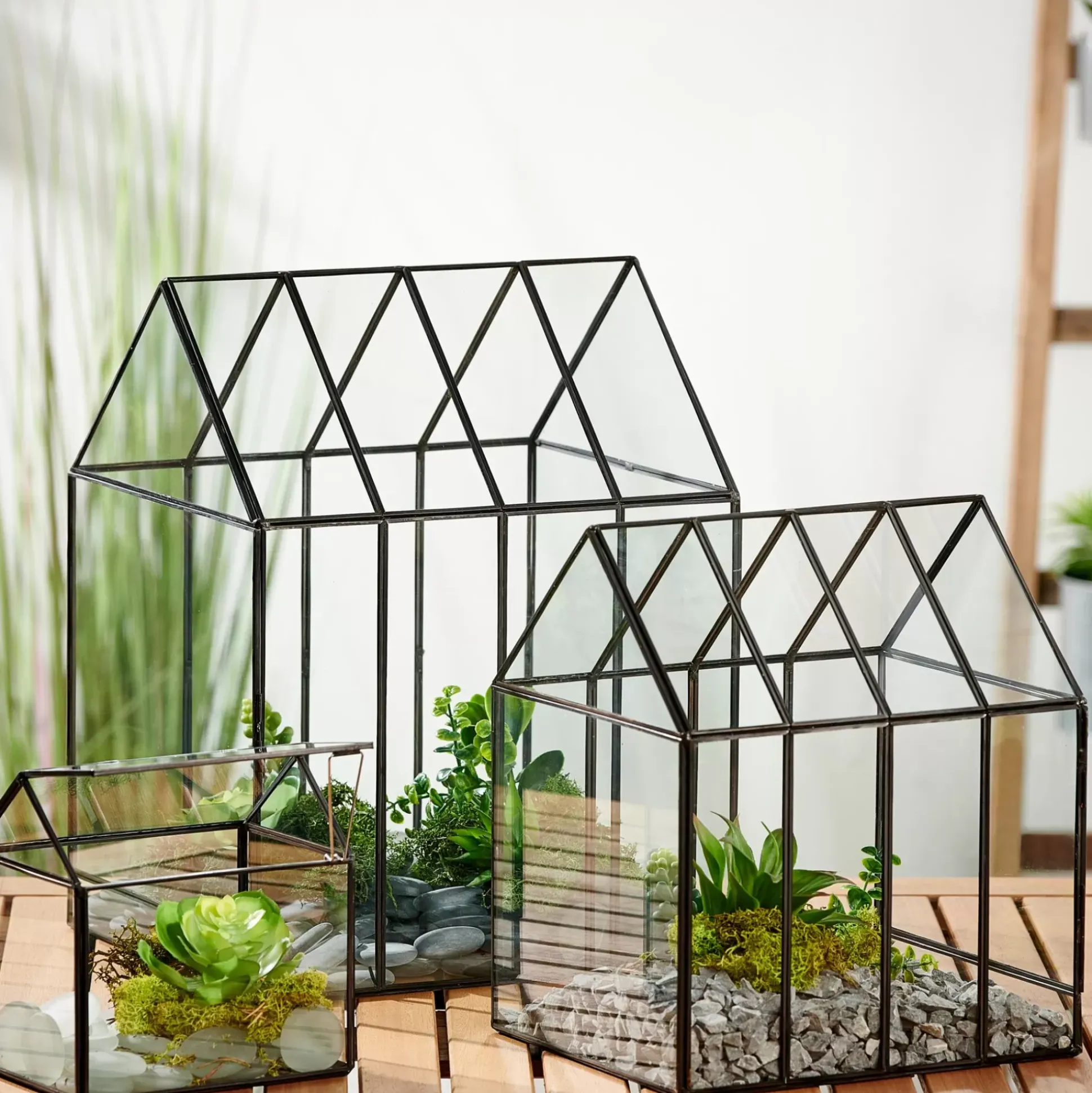 Greenhouse Invernadero Transparente