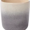 Jessie Grey Taza Sin Asa Gris