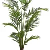 Kwai Palma Verde