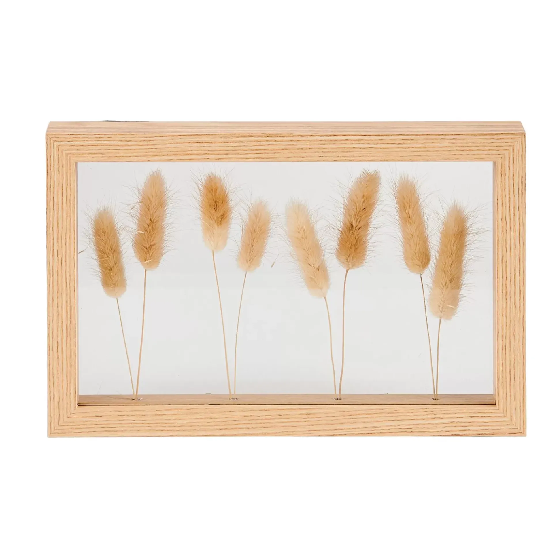Lagurus Decoracion De Pared Natural
