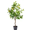 Lemon Limonero Verde