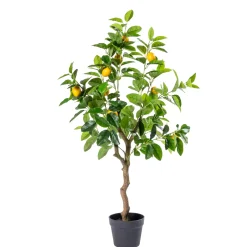 Lemon Limonero Verde