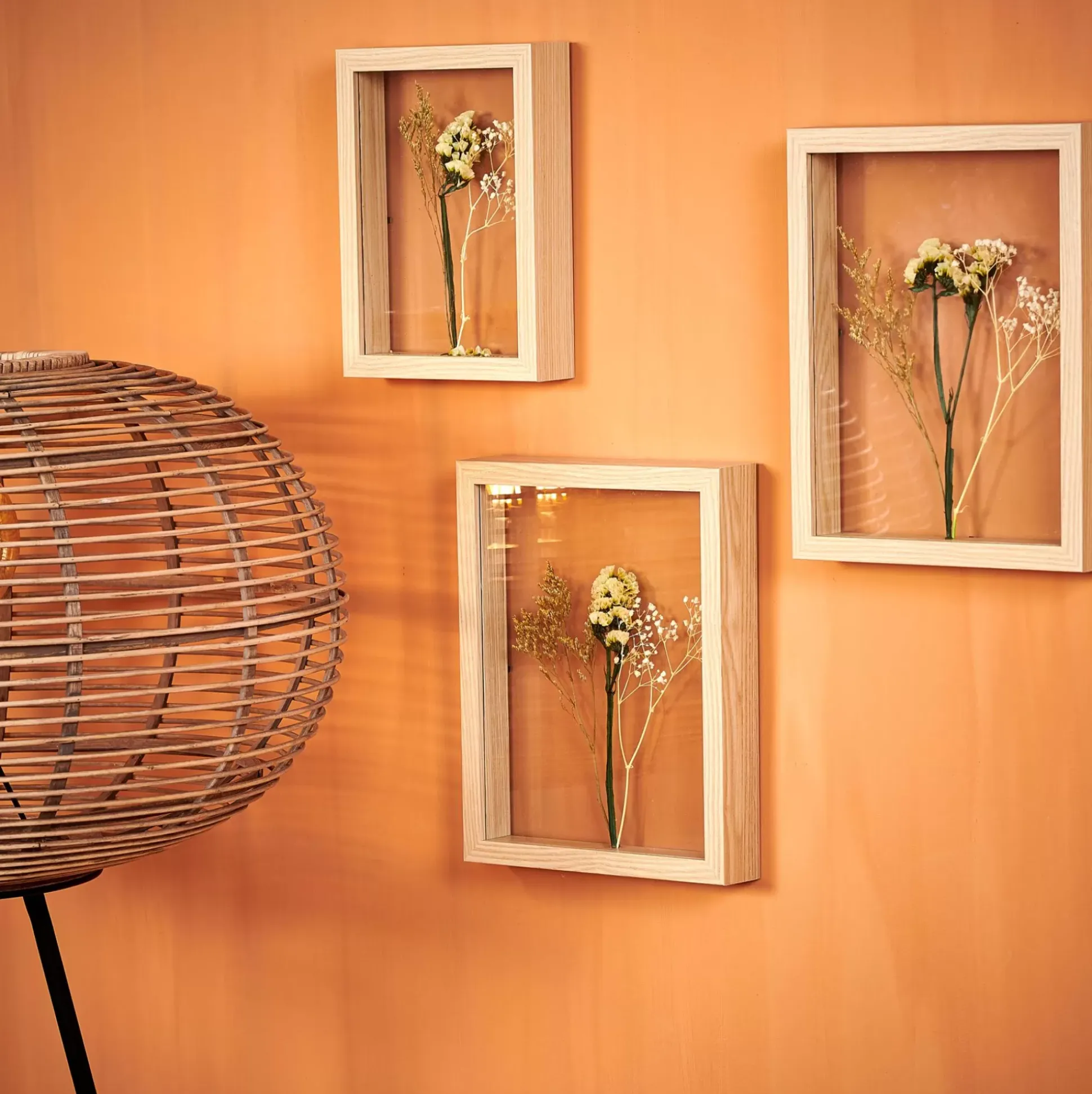 Limonium Decoracion De Pared Natural