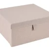 Linolux Caja De Almacenaje Con Tapa Beis