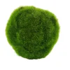 Moss Bola De Musgo Verde