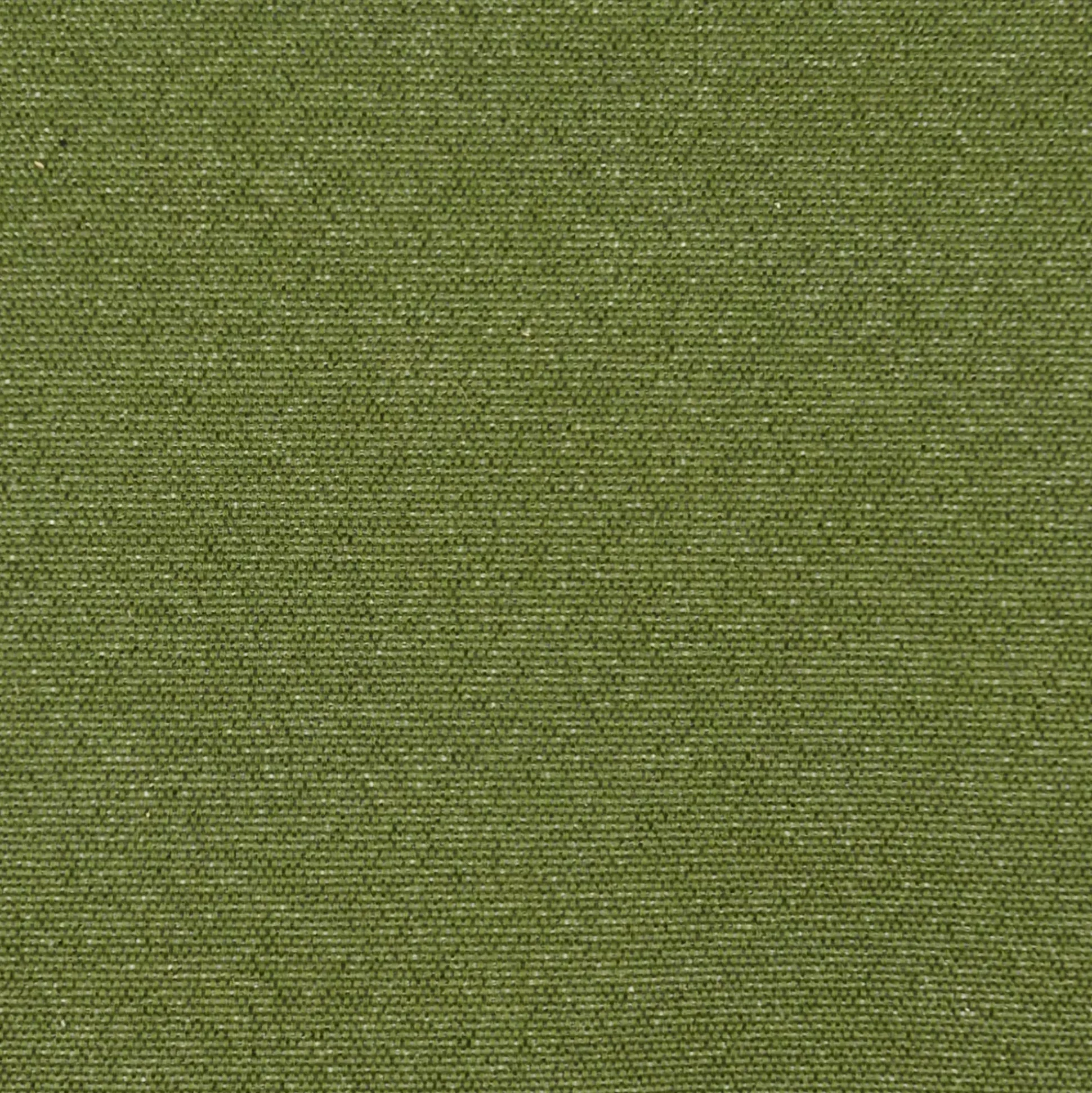 Pauletta Luxe Verde