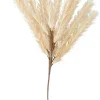 Plume Pluma Artificial Beis