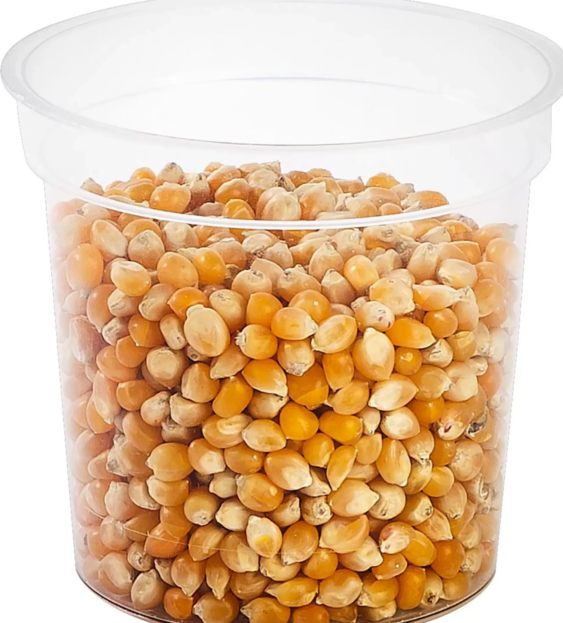 Popcorn Maiz