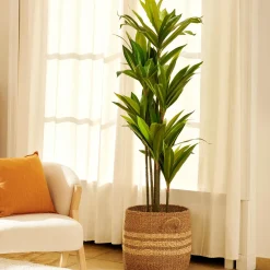 Rayas Cesta M Natural
