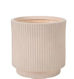 Roma Creme Macetero Crema