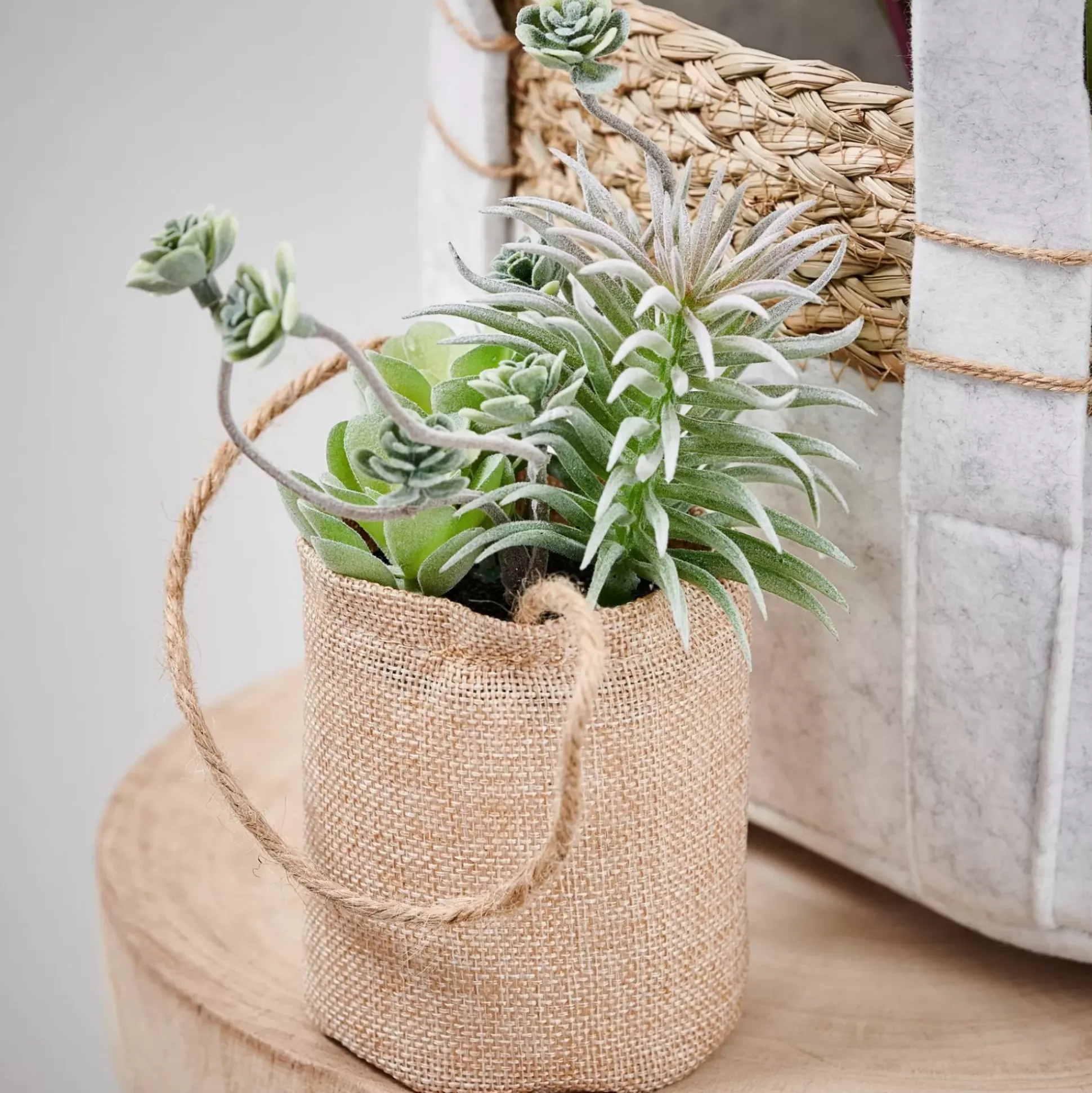 Rope Planta Artificial Macetero Colg Natural