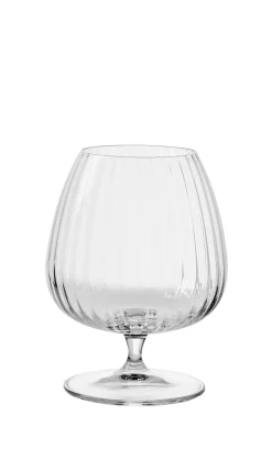 Speakeasies Conac Transparente