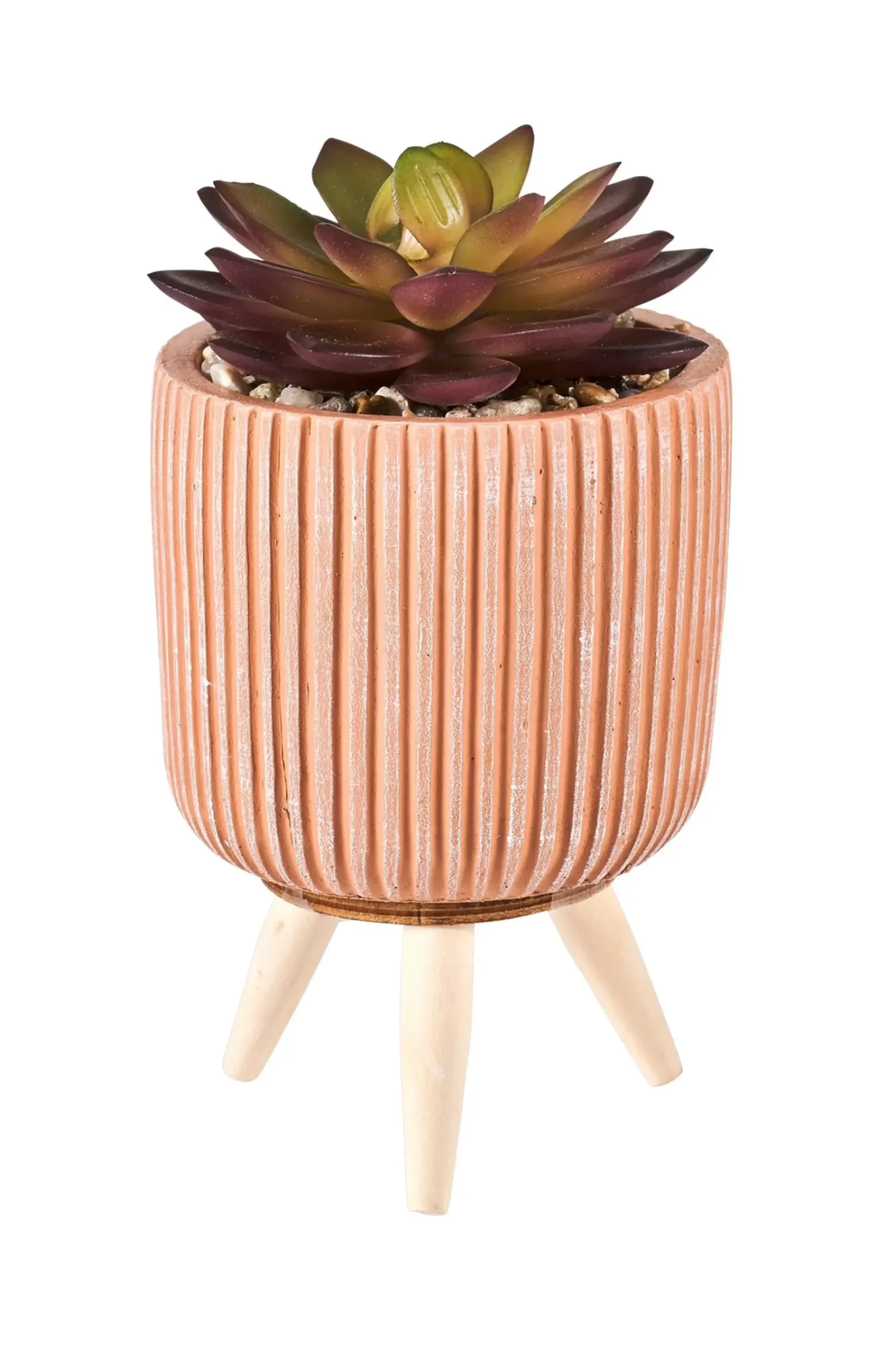 Stripe Planta Crasa Art En Tarro Multicolor