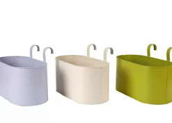 Tanaman Macetero Colgante 3 Colores Morado