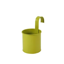 Tanaman Macetero Colgante 4 Colores Verde