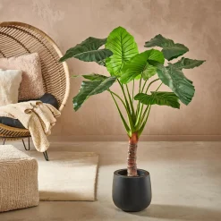 Taro Planta Artificial Aro Verde