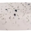 Terrazzo Jabonera Blanco